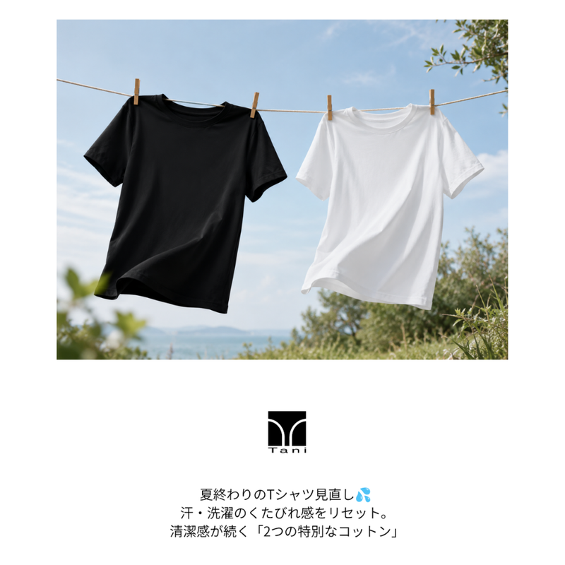 夏終わりのTシャツ見直し💦 汗・洗濯のくたびれ感をリセット。清潔感が続く「2つの特別なコットン」