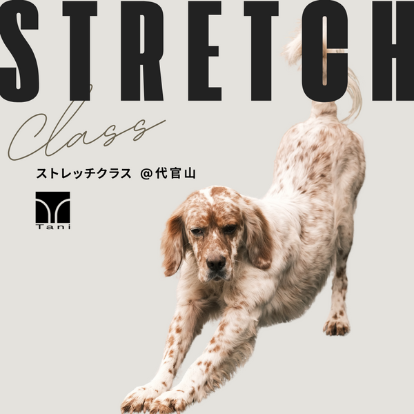 ストレッチクラス＠代官山ストア 5/17(土)13:30