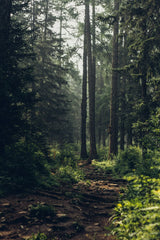 Labogie キャンドル - リフィル (organic candle wax)